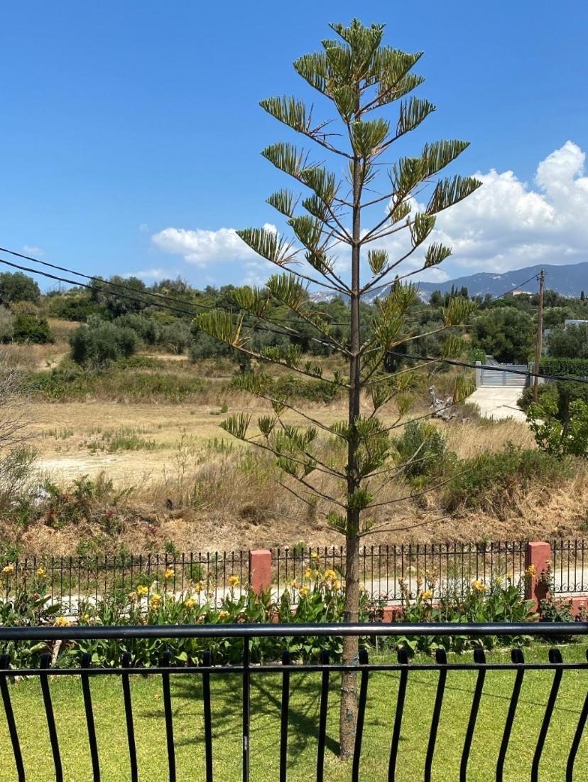 Paradise Studios Svoronata Ngoại thất bức ảnh